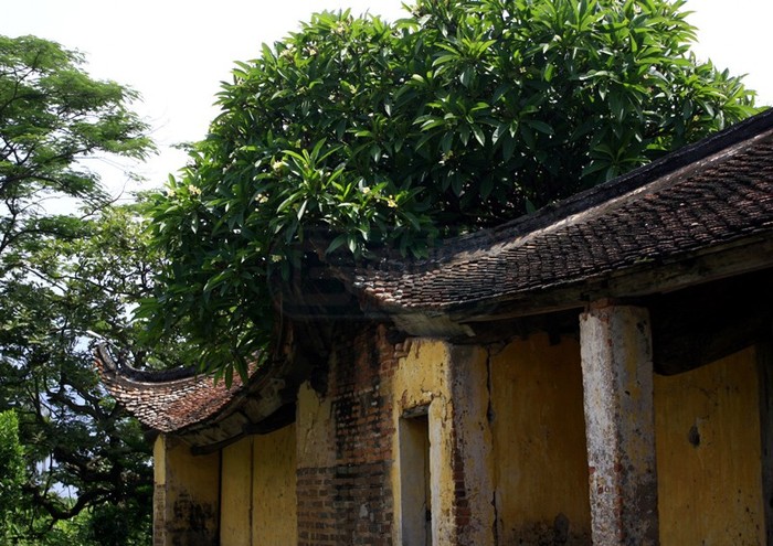 Đình Đa Chất là một trong những đình làng hiếm hoi có tuổi đời đến hơn ngàn năm ở Hà Nội